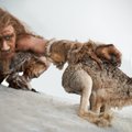 Atskleista šokiruojanti tiesa apie neandertaliečius