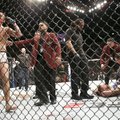 Pasaulis priblokštas: MMA žvaigždę C. McGregorą įveikė smaugimo veiksmu