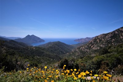 Kelionė į pietinę Korsikos dalį