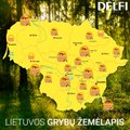Lietuvos grybų žemėlapis: vietos, iš kurių tikrai grįšite pilnomis pintinėmis