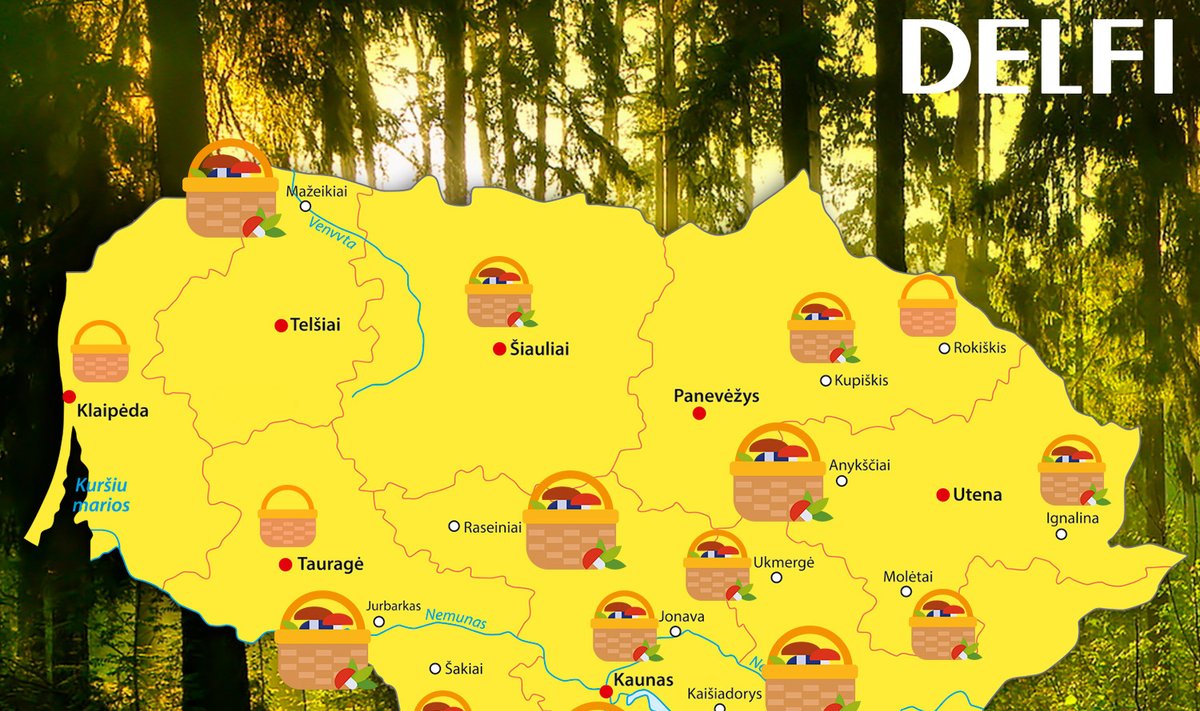 Lietuvos grybų žemėlapis
