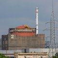 TATENA tebelaukia prieigos prie Zaporižios atominės elektrinės stogų