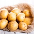 Parduotuvėse pirmos lietuviškos bulvės – kiek gali kainuoti iš jų kepti plokštainį