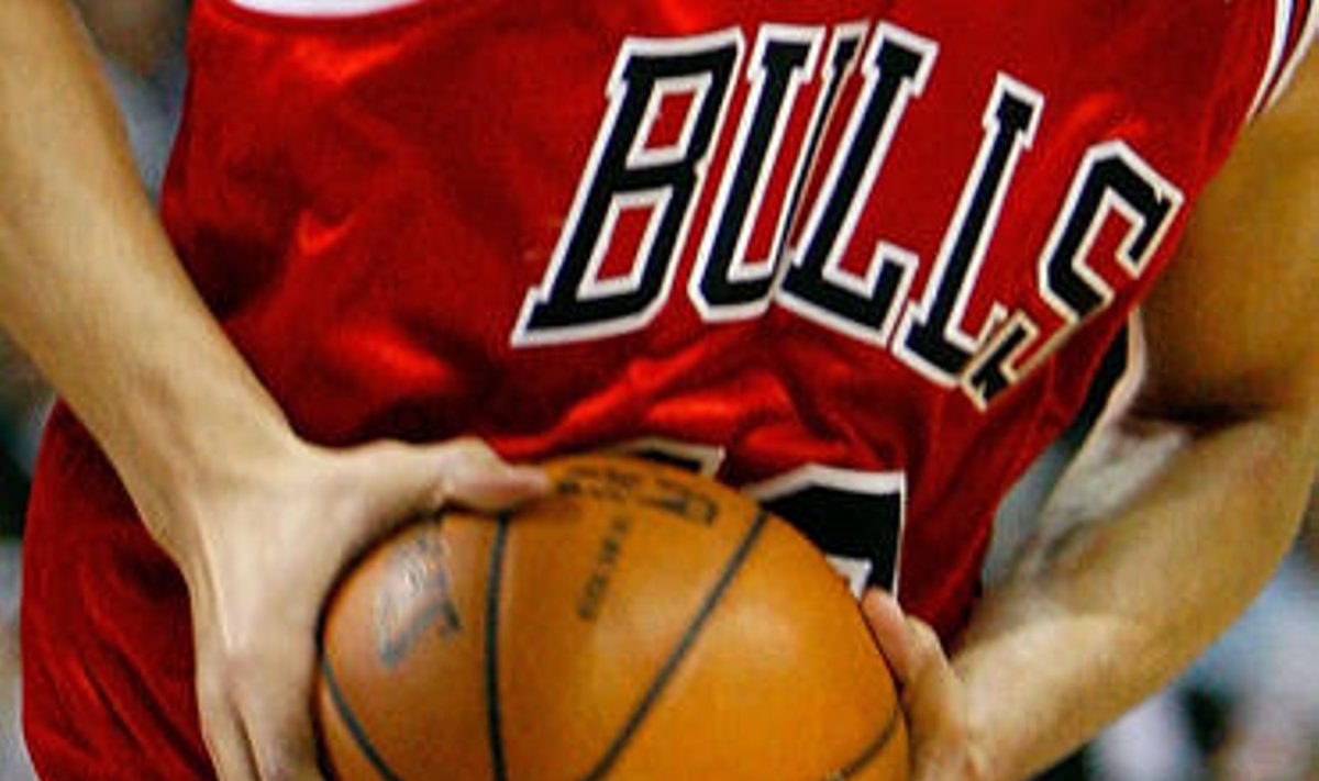 "Chicago Bulls"
