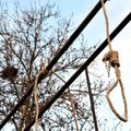 Irane nuteistojo artimieji egzekucijos metu susprogdino granatą
