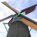 Karantino išvarginti Nyderlandų gyventojai mėgaujasi saule, sniegu ir vėjo malūnais