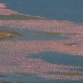 Neįtikėtina gamtos išdaiga – rožinis ežeras, kuris nuolat juda