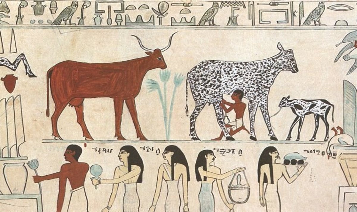 Senovės egiptiečių piešinys, vaizduojantis gyvūnų prijaukinimą
