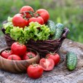Selekcininkai rekomenduoja: naujos neįprastos pomidorų veislės, kurias verta užsiauginti šią vasarą