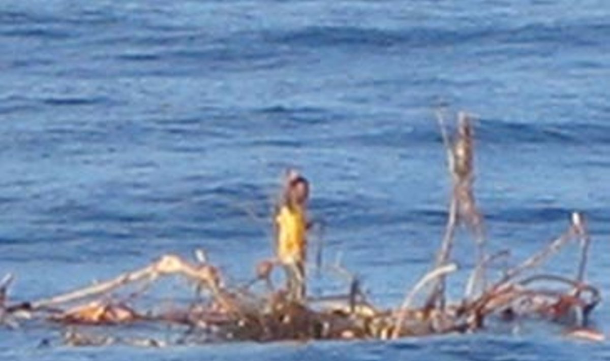 Nuo cunamio išsigelbėjęs indonezietis ant palmės "dreifuoja" Indijos vandenyne. Nelaimėlį išgelbėjo pro šalį plaukęs Malaizijos žvejybinis laivas.