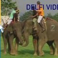 Tailande surengtas polo turnyras ant dramblių