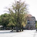 Lukiškių aikštėje vidury dienos pavogta LNK technika surasta lapų krūvoje