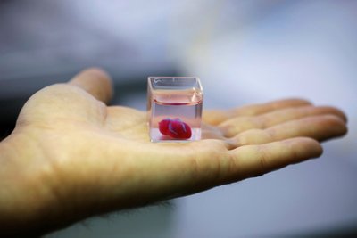 Mokslininkai pademonstravo pirmąją 3D spausdintuvu sukurtą širdį