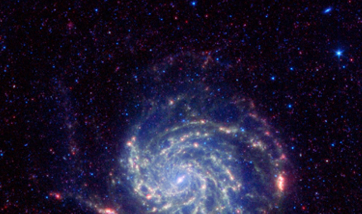 NASA kosminio Spicerio teleskopo infraraudonųjų spindulių nuotraukoje užfikstuota Vėjo malūnėlio (dar žinoma „Messier 101“ vardu) galaktika.