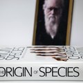 Iš Kembridžo universiteto galimai pavogti Charleso Darwino užrašai