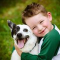 Vaikai ir naminiai gyvūnai: penki privalumai ir iššūkiai