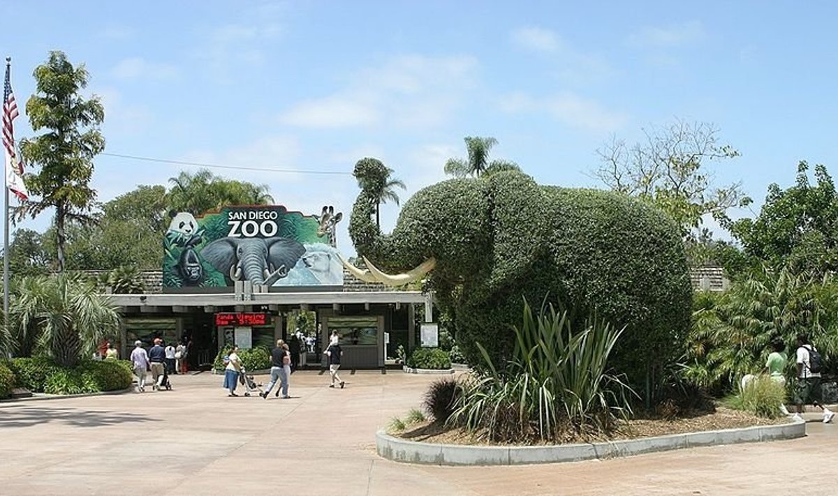 San Diego zoologijos sodas