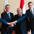 Visegrad differences will always exist, but V4 is much stronger than critics make out