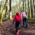 Pašilės miške – jaunimas paneigs mitą, jog tolsta nuo gamtos