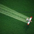 Tyrimas: auginant GM augalus pesticidų sunaudojama daugiau