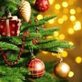 10 įdomių faktų apie Kalėdų eglę