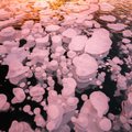 Mokslininkai perspėja: po Arkties ledu tūno didelės problemos