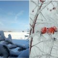 Žiema išpuošė Aukštaitiją: šaltis ir sniegas išdabino laukus ir miškus