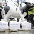 „Pienas LT“: ŽŪM pagalbos sprendimai – pleištas Pieno sektoriui ir kooperacijai