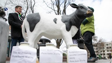 „Pienas LT“: ŽŪM pagalbos sprendimai – pleištas Pieno sektoriui ir kooperacijai