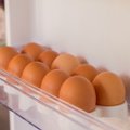Įspėja dėl sąlyčio su kiaušiniais keliamų pavojų