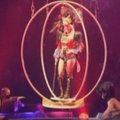 B.Spears pradėjo koncertinį turą „Circus“