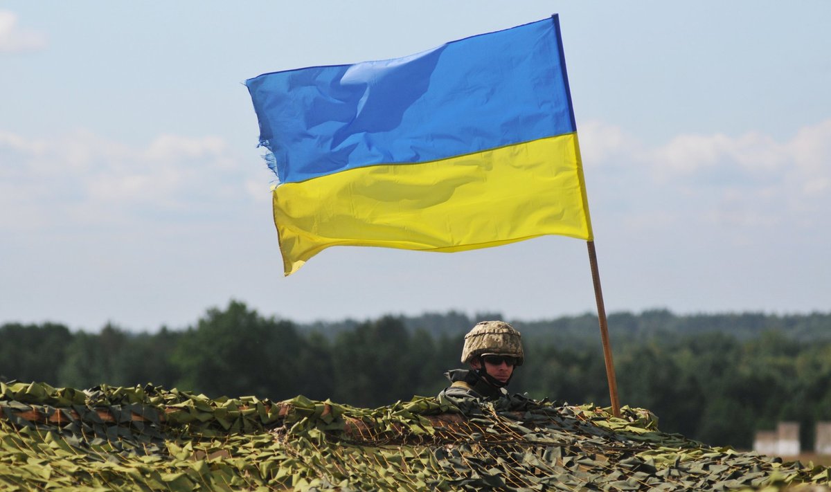 Ukrainos karys pratybose