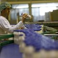 Prancūzijos pieno produktų gamintojas žada naują žingsnį traukiantis iš Rusijos: kainuos apie milijardą eurų