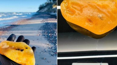 Подарок природы: в Латвии на берегу моря нашли янтарь внушительных размеров