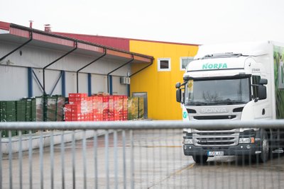 norfa, sunkvežimis,