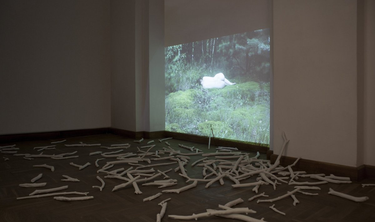 Michalina Bigaj, 30 Days For Nature, installation, 2014-2015
