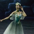 Operos ir baleto atstovai – apie gėrimus „ant drąsos“, profesinius mitus ir kuriozus scenoje