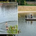 Panevėžio Senvagės tvenkinyje nerekomenduojama maudytis, tačiau čia plaukioja vaikai: gyventojai sunerimę