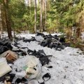 Automobilines atliekas miške išpylęs teršėjas paliko net savo dokumentus