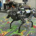 Keturkojis robotas „StarlETH“ sukėlė revoliuciją robotikos pasaulyje