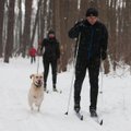 Vilniečių laukia dvi naujos slidinėjimo trasos