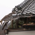 Japonijos šiaurės rytuose įvyko 6 balų žemės drebėjimas