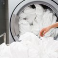 Kaip skalbti patalynę, kad garantuotai būtų sunaikintos visos bakterijos: svarbi ne tik tinkamai parinkta temperatūra
