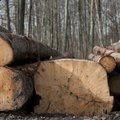 President Grybauskaitė strictly against plans to limit Lithuanian timber sale