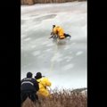 Ugniagesiai gelbėjo į bėdą užšalusiame vandens telkinyje patekusį šunį