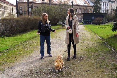 Duok leteną. Pasivaikščiojimas su „Dogs of Vilnius“ sumanytoja ir kodėl šunys vedžioja šeimininkus?