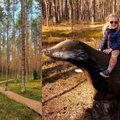 Trys parkai miškuose netoli Vilniaus: tikra atgaiva po laiko tarp keturių sienų ir vaikams, ir tėvams