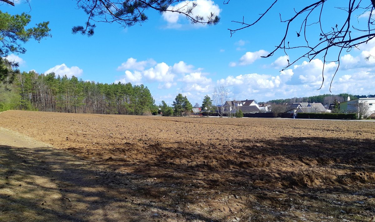 Paėjėję dar šiek tiek, puikioje statyboms vietoje, šalimai brangių sklypų soduose, rasime nemažą dirbamos žemės lauką prie Krakiškių gatvės