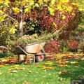 Primena, kaip tinkamai tvarkyti sodo atliekas: yra trys būdai