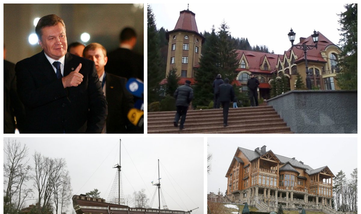 Viktoro Janukovyčiaus turtai (DELFI, AP/Scanpix, Reuters/Scanpix nuotr.)